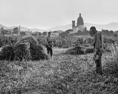Pagesos al camp en el moment de l'Angelus, dècada de 1920 / COL·LECCIÓ ARISA - IEFC