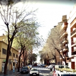 Carrer segre plaga insectes