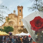 Sant Jordi a Sant Andreu MARIA FERRER