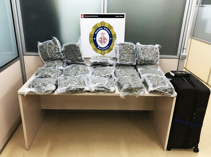 Els 23 kg de marihuana confiscada / GUÀRDIA URBANA