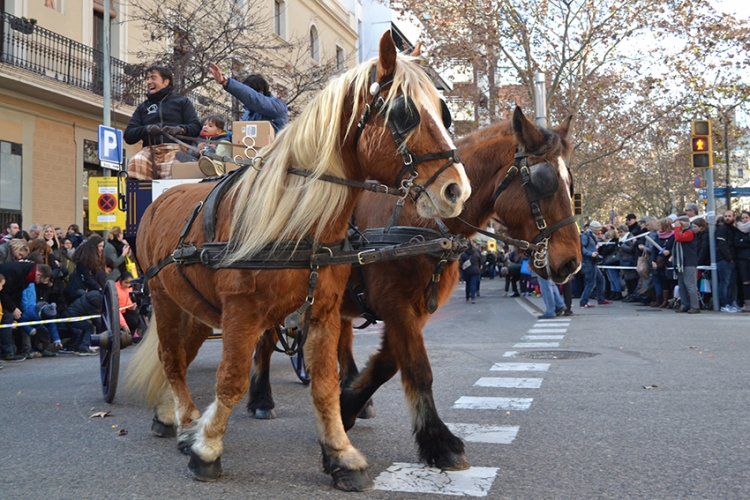 Tres-Tombs-Expres-Sant-Andreu-DGM-15-750x500.jpg