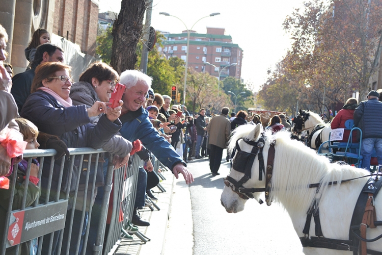 Tres-Tombs-Expres-Sant-Andreu-DGM-22-750x500.jpg