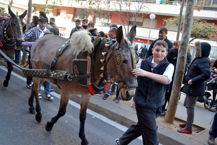 Tres-Tombs-Expres-Sant-Andreu-DGM-7-750x500.jpg