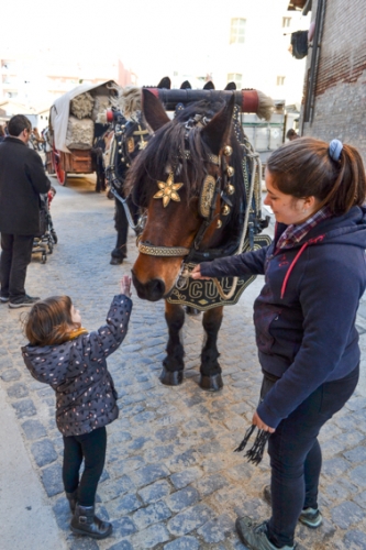 tres-tombs2020-expres-de-sant-andreu-9-333x500.jpg