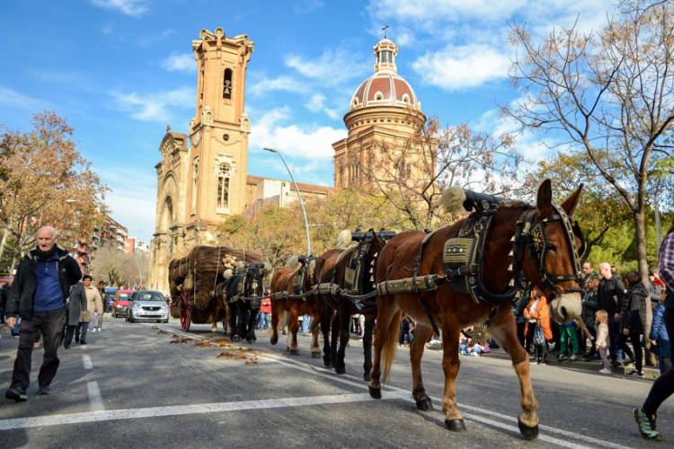 Tres-tombs-2023-expres-de-sant-andreu_0246-750x500.jpg